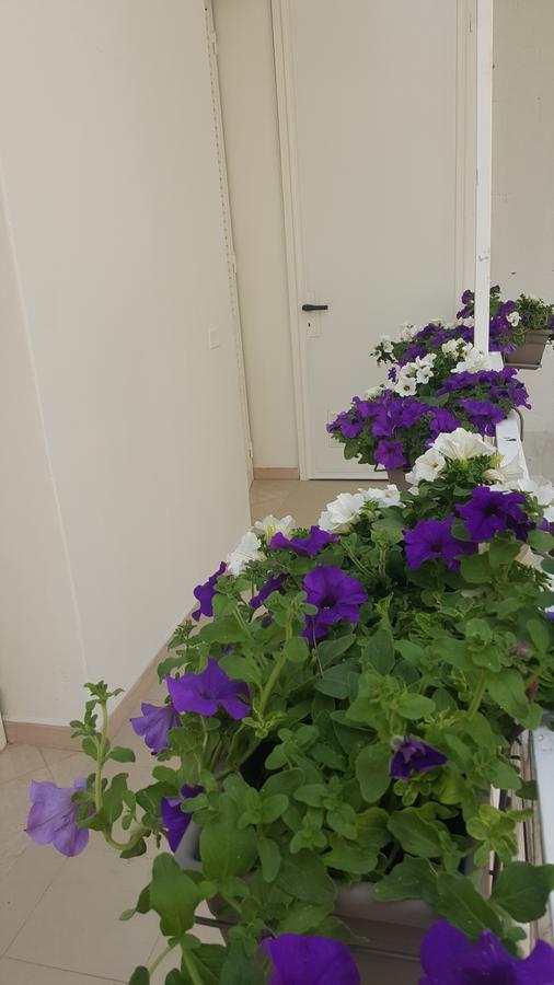 Matera Guest House Ngoại thất bức ảnh