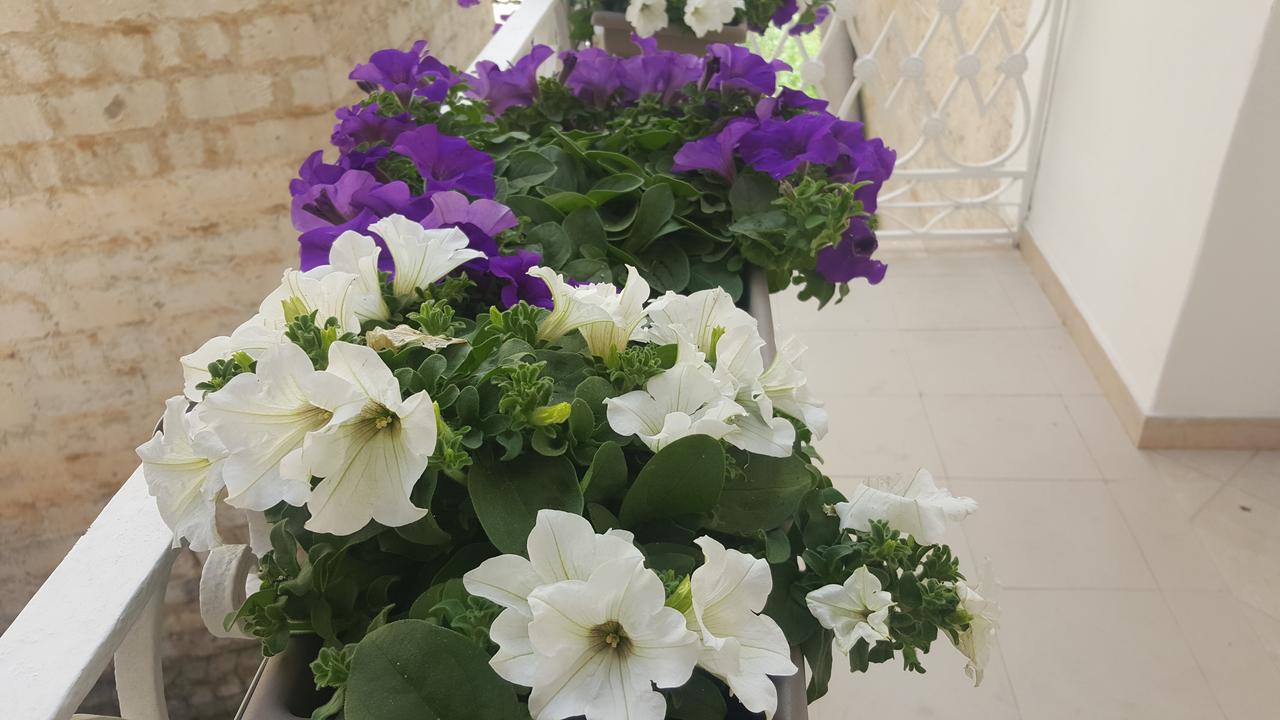 Matera Guest House Ngoại thất bức ảnh